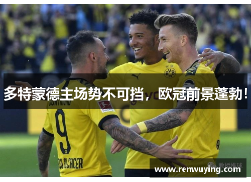 多特蒙德主场势不可挡,欧冠前景蓬勃!